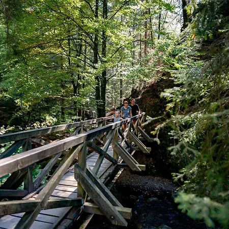 Апартаменты Seebachtal